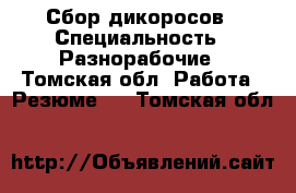 Сбор дикоросов › Специальность ­ Разнорабочие - Томская обл. Работа » Резюме   . Томская обл.